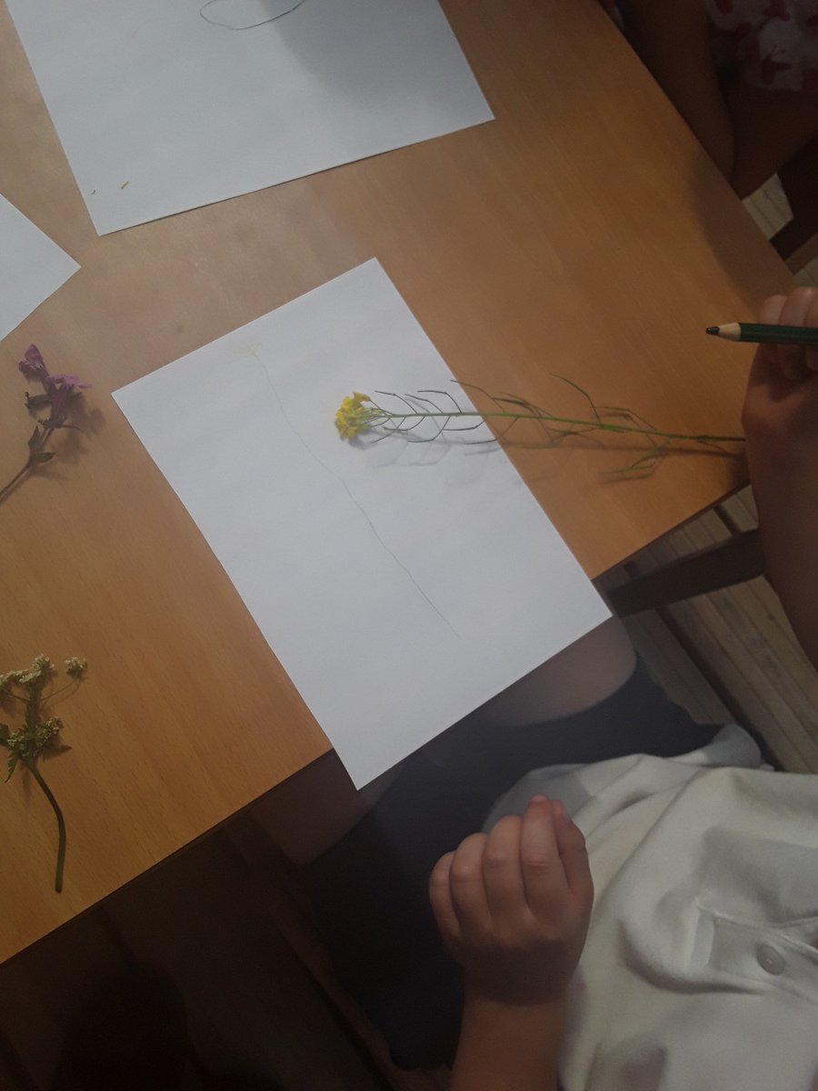 AoRpreschool's tweet image. Kingfishers have been collecting interesting natural items and sketching them back at river school. #30DaysWild #RSPB_Learning #KingfishersClass #RiverSchool #outdoorlearning