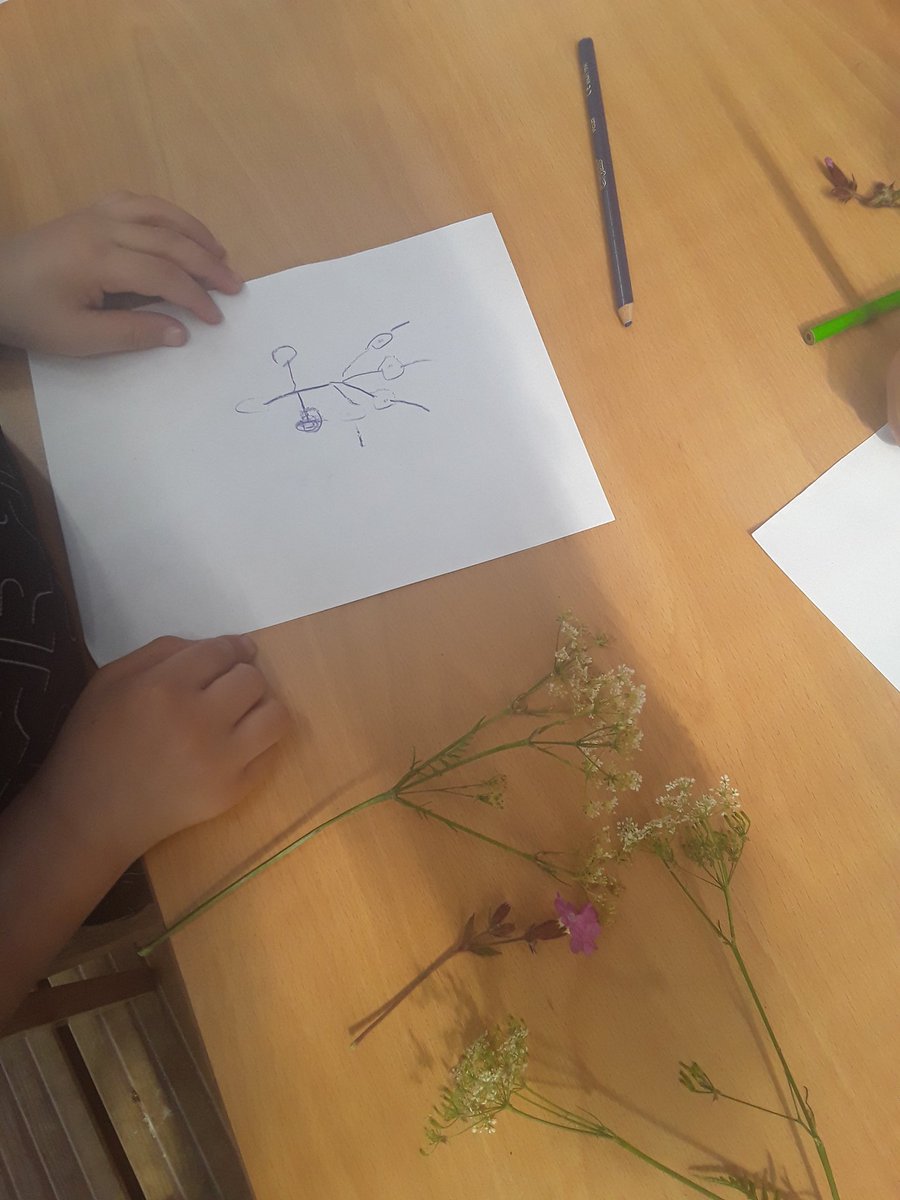 AoRpreschool's tweet image. Kingfishers have been collecting interesting natural items and sketching them back at river school. #30DaysWild #RSPB_Learning #KingfishersClass #RiverSchool #outdoorlearning