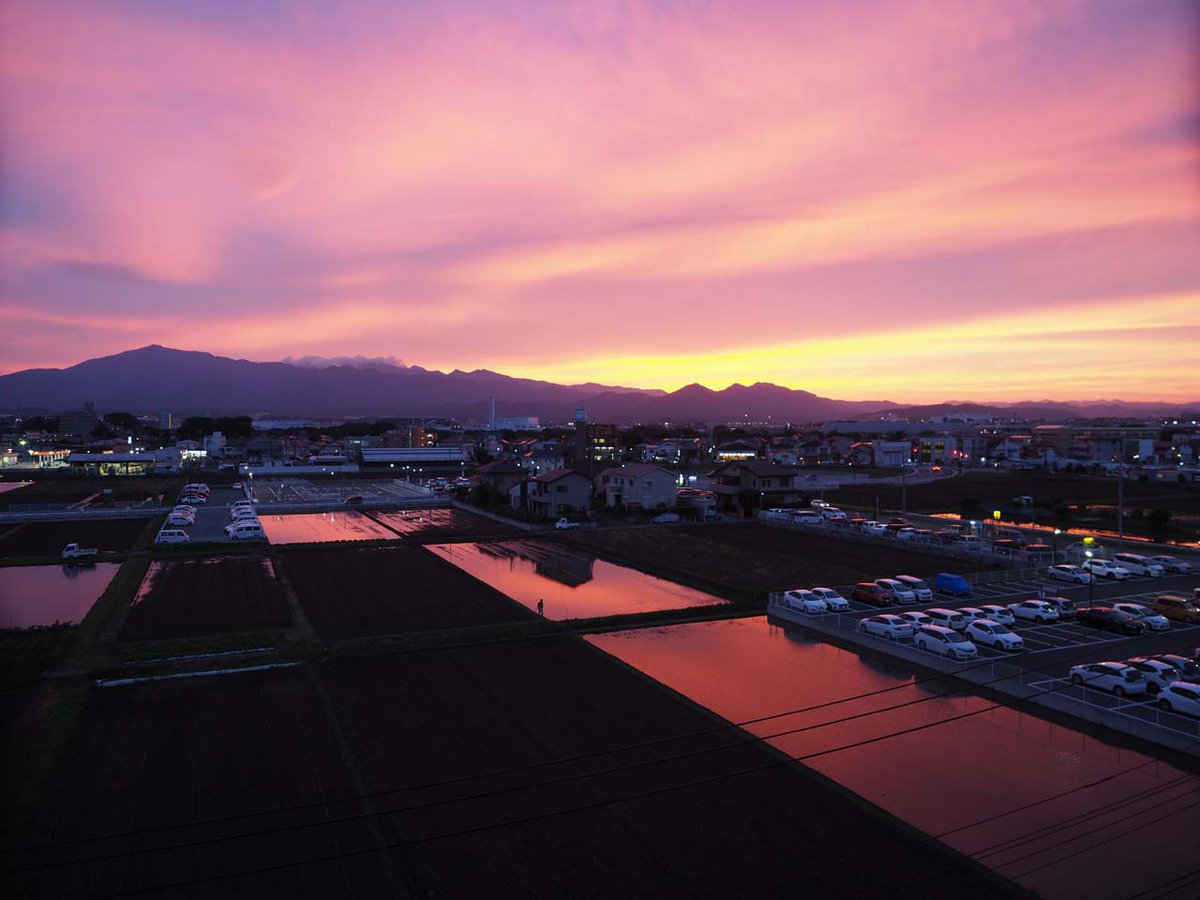 ミヤッチ Studiomint Miyachi99 Twitter