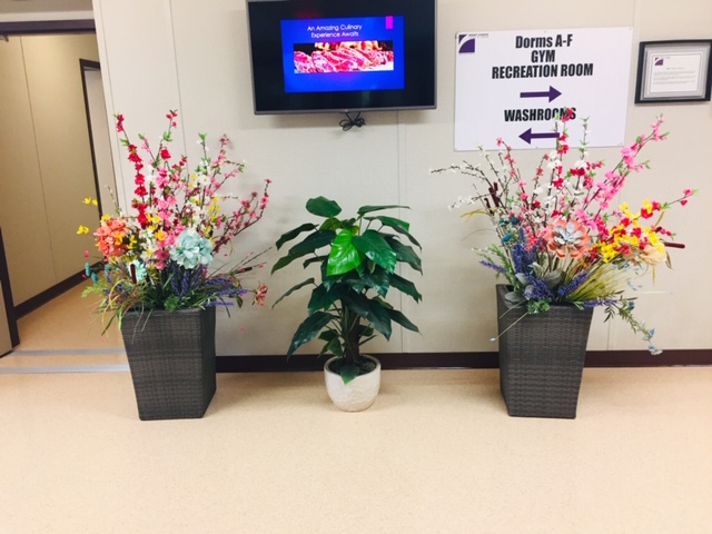 RCCCEdmonton's tweet photo. Summer is just around the corner! Check out how RCCC West Kakwa Lodge is showing off their colours. 

#RIGHTCHOICECamps #Flowers #Summer #Alberta #CampLife https://t.co/TQgCCWByaO