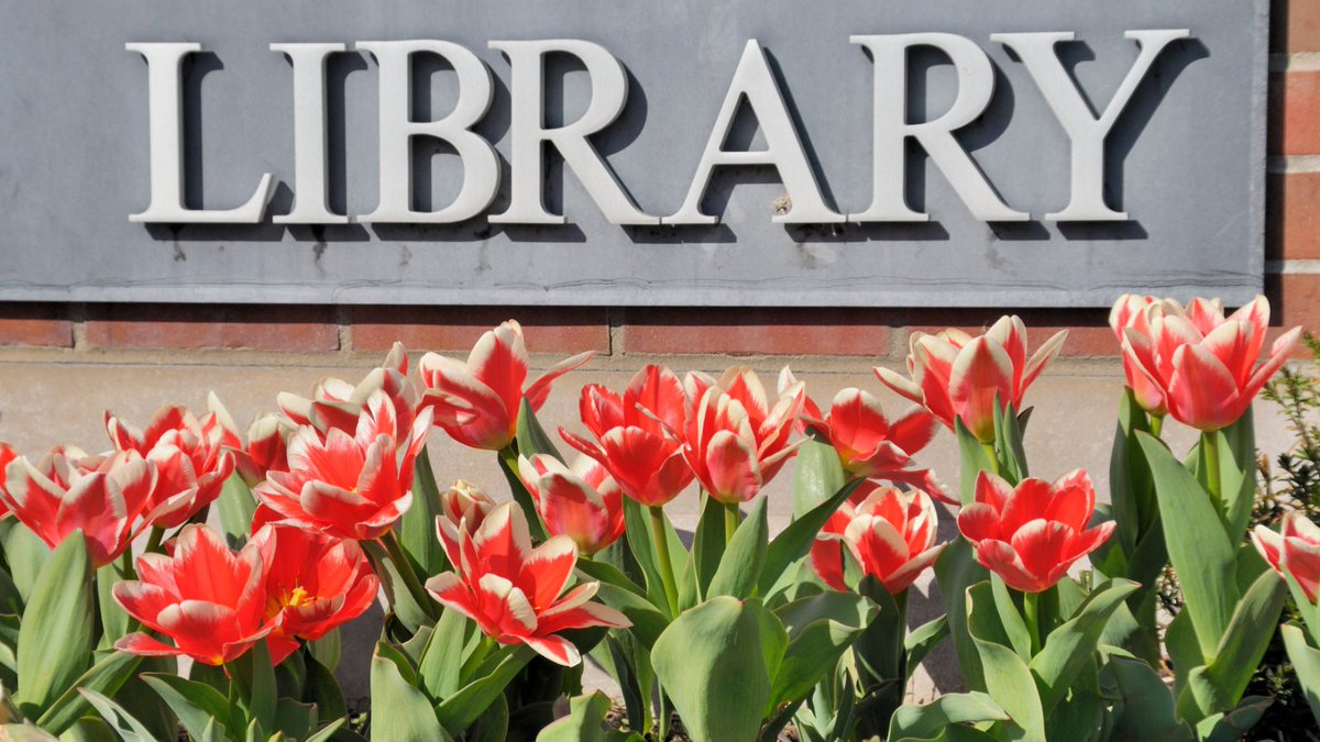 We couldn't help it with this image...we think the pair is perfect 📚🌹
We have two of our special <a href="/EPLdotCA/">epldotca</a>  workshops coming up this week! #yeg