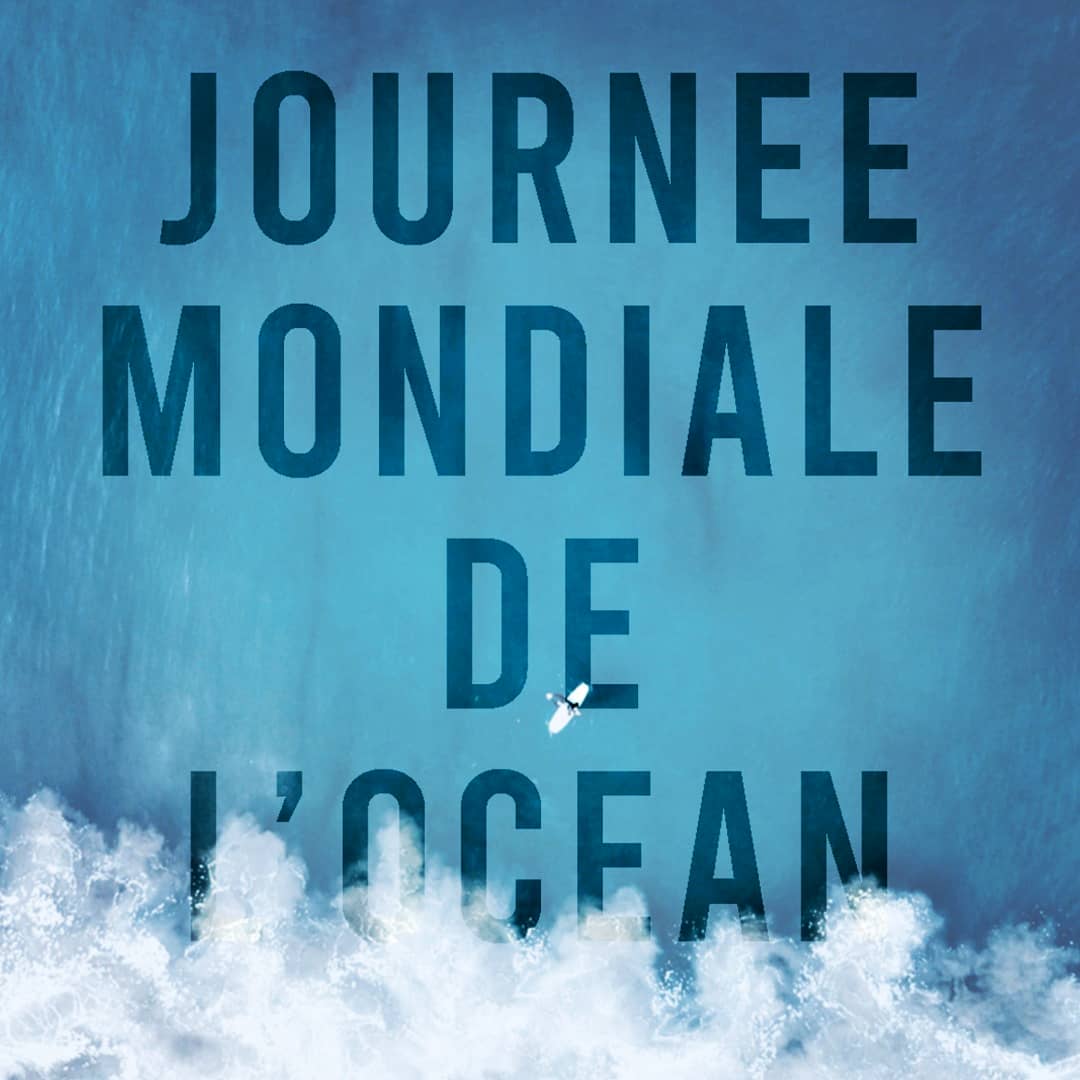 C'est la journée mondiale de l'océan 🌊

L'occasion de le célébrer et de décider comment nous pouvons contribuer à le protéger. ✊🏻

Que vous souhaitiez organiser une initiative océane, devenir bénévole ou faire un don, nous avons besoin de vous. 🤗
#worldoceanday #surfrider