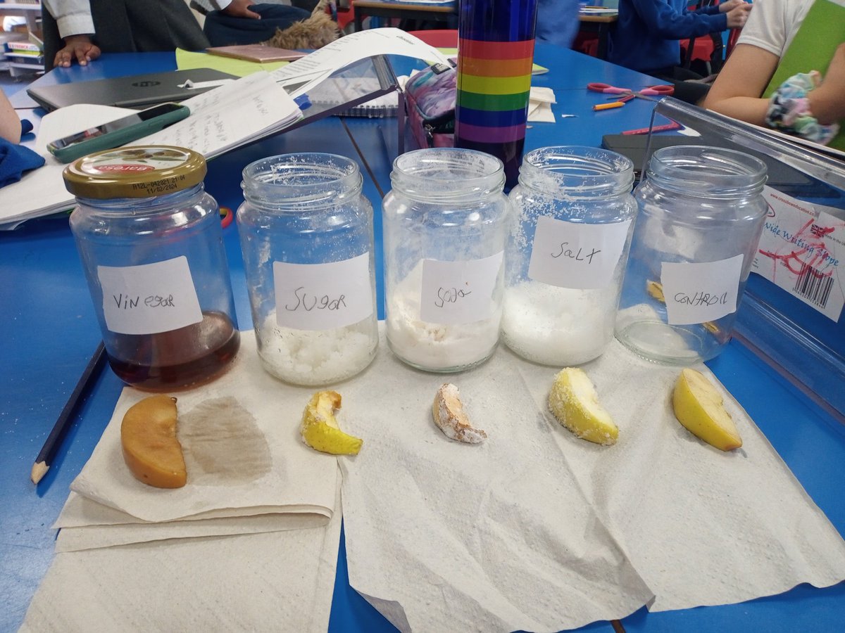 HowdenStAndrews's tweet photo. P4/5 know the Egyptians used salt (natron) to help preserve a mummy. Linking on to this, we have been investigating which products are the best at preserving food. Salt, sugar, bicarbonate of soda or vinegar? Here are our results! #dyw #richlearningexperiences #stem https://t.co/te66HOKaf9