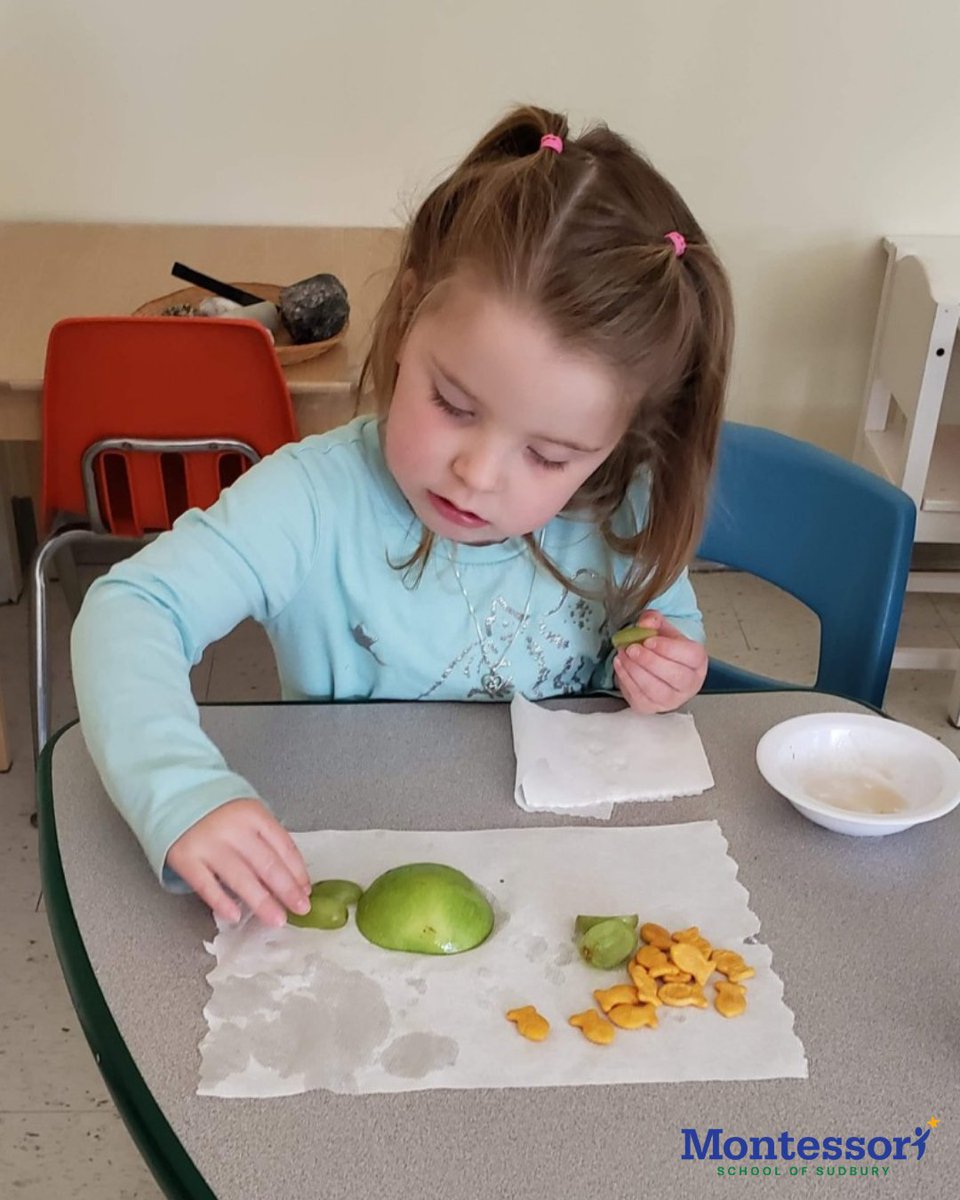 MontiSudbury's tweet photo. Casa 4 got to learn all about Oceans and Ocean Life! The children also had fun making their own “sea turtle' snacks using apples and grapes!🐢🌊
#Montessori #MontessoriSudbury #precasa #casa #frenchcasa #Preschool
#Education #Children #ChildrensLearning #EarlyLearning https://t.co/wmDdG0E8wq