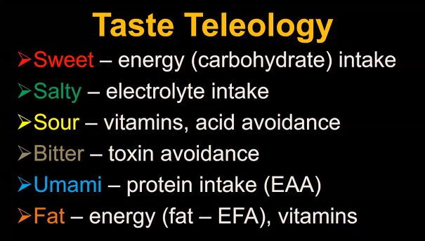 USDA_ARS's tweet photo. We are not pre-disposed to eat sweet, salty, sour, bitter, umami, or fat. They are not the drivers to our food preferences. #AtwaterLecture #Nutrition2021LiveOnline #NutritionLiveOnline https://t.co/UKwF4NlHS3