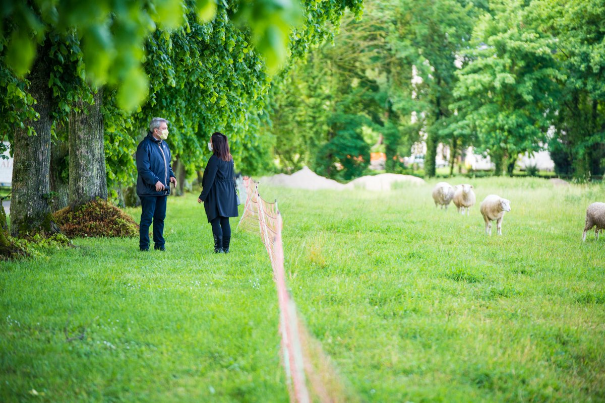 stefraffalli's tweet photo. Visite du domaine de la Saussaie situé à #VertleGrand sur notre beau canton. Nous y installerons un centre culturel et artistique.
Ensemble, préservons notre remarquable patrimoine architectural et naturel
#electionsdepartementales #les20et27juin #CantonRisOrangis #UnisPourAgir https://t.co/wkUz10vue8