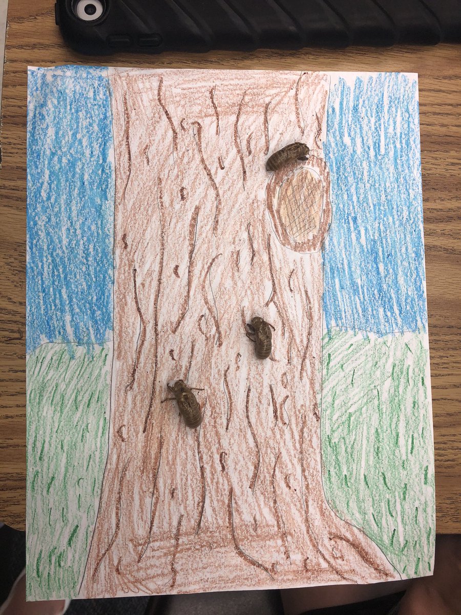 Long Branch ES tweet media