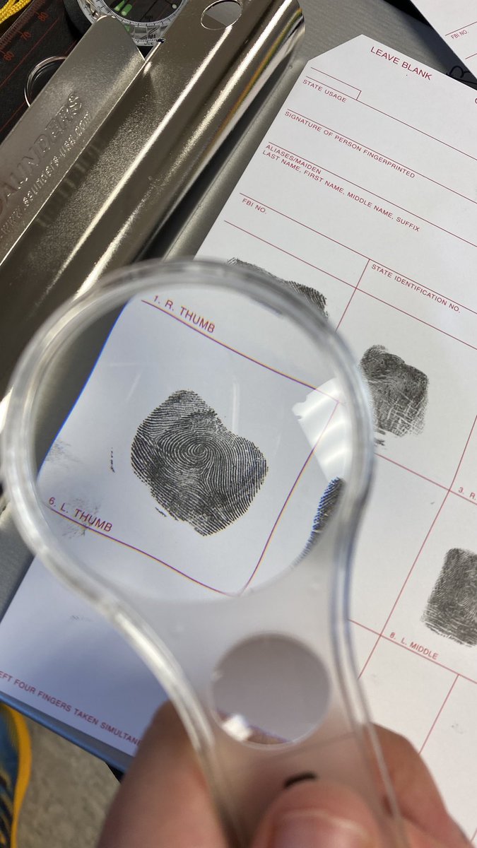 mnps_i3stem's tweet photo. Check out the Overton prints we are taking! https://t.co/80rEQqpLhc