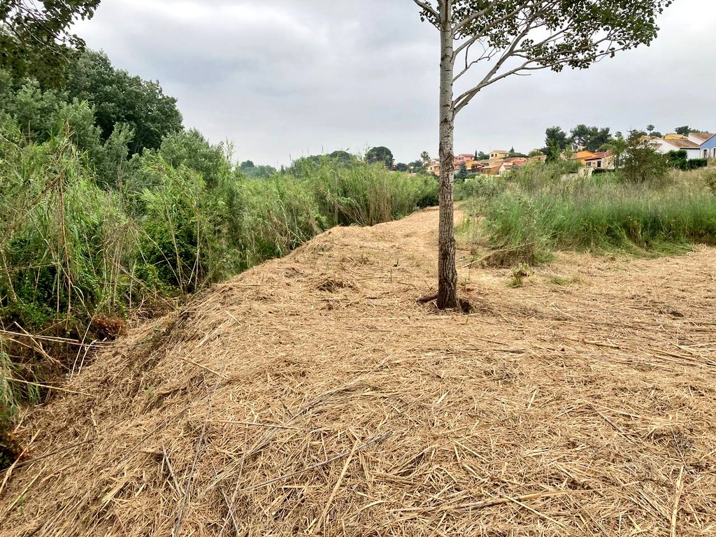 Medi XXI GSA tweet media