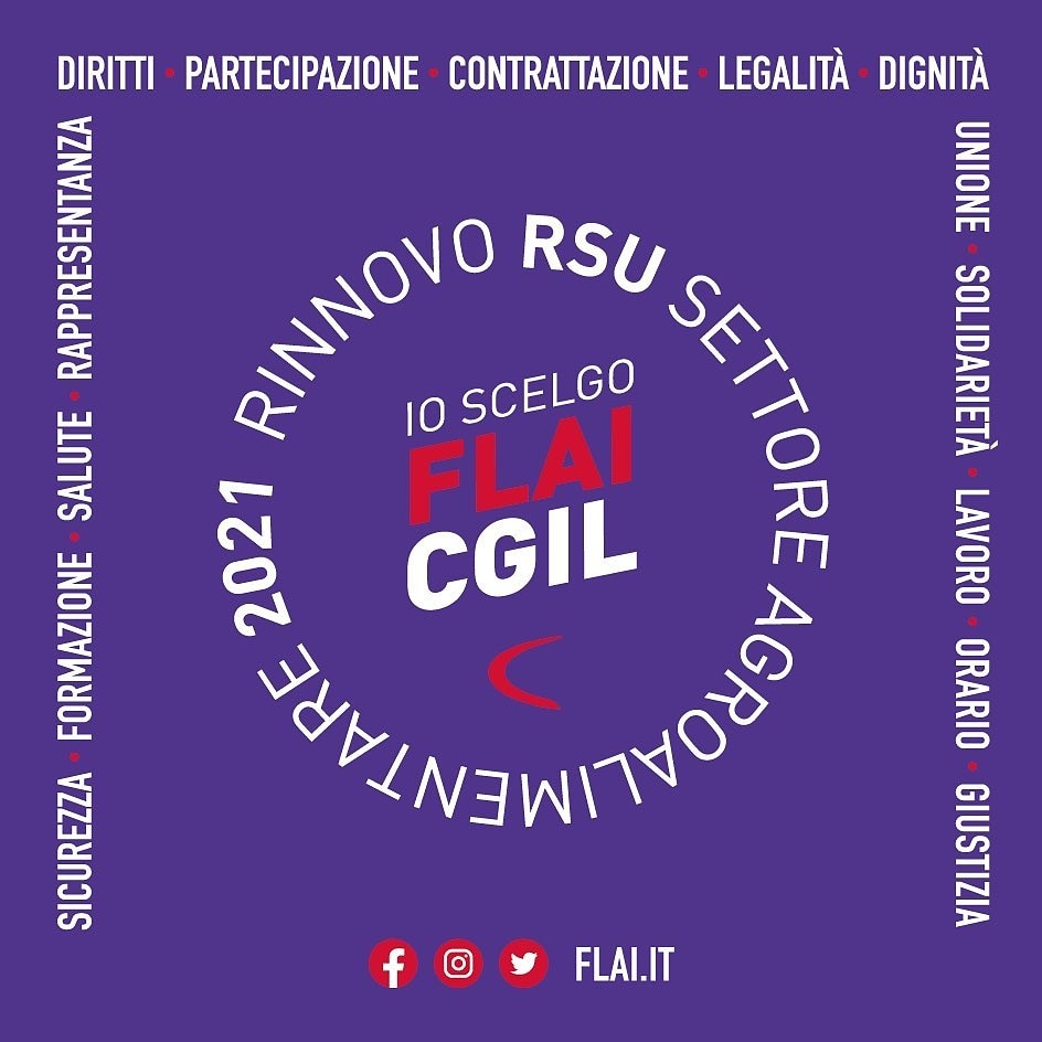 🟥 ANCORA BUONI RISULTATI NEI RINNOVI RSU  

Al Gruppo Fini Ravarino (Modena) la Flai-CGIL elegge 4 RSU ed è l'unico sindacato che elegge rappresentanti.

Ad Italfrutta San Felice sul Panaro (Modena) la Flai-CGIL elegge 2 RSU su 3.
#IoScelgoFlai