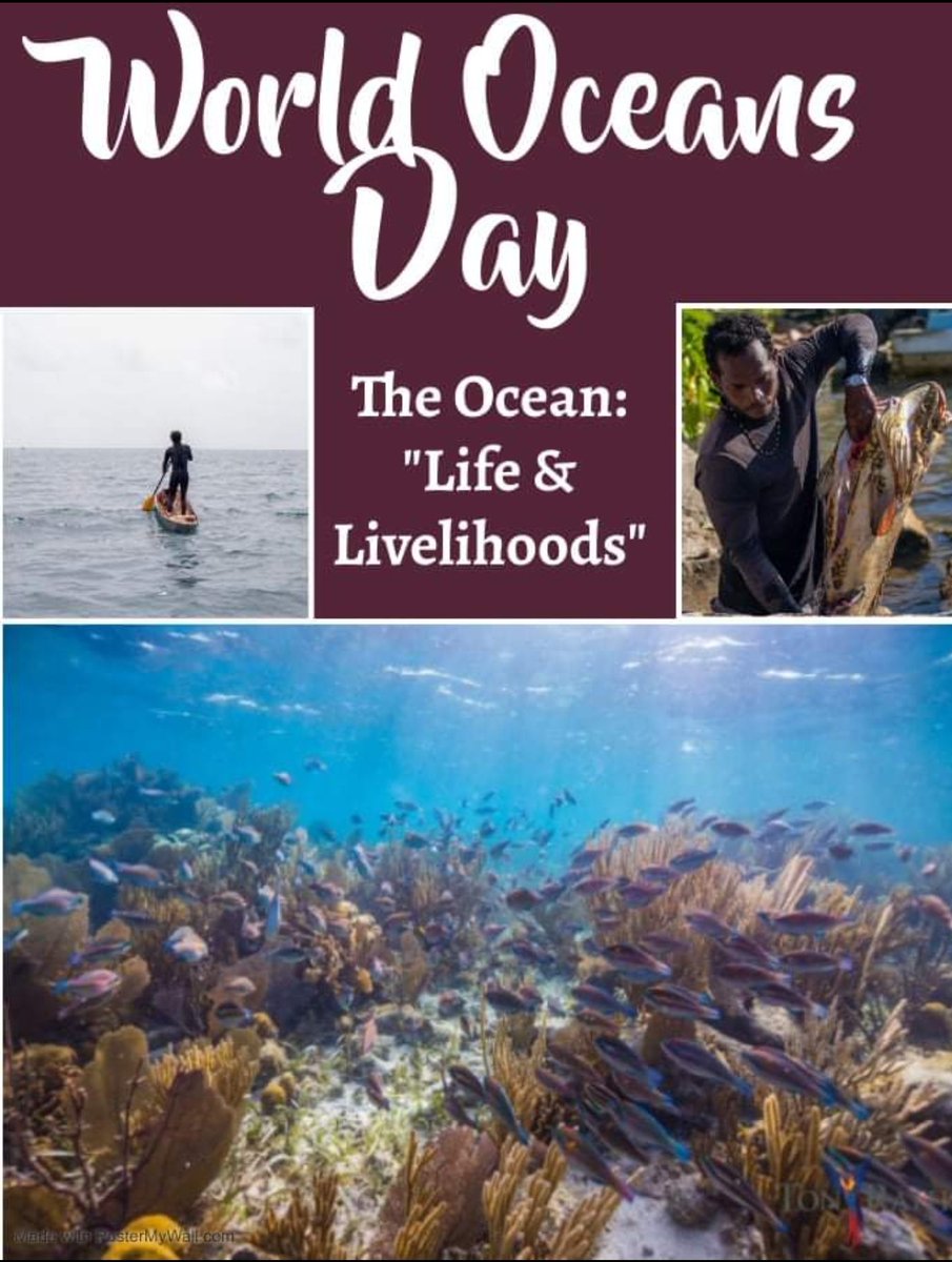 sea_belize's tweet photo. Happy World Ocean Day! 🌊🌞🐢🚣‍♀️🚣‍♂️
The ocean: Life and Livelihoods

The theme lets us reflect on the daily sustenance provided by the ocean. From being the lungs of our planet, providing food, and home to a wide variety of marine species. https://t.co/Ax96C6daZv