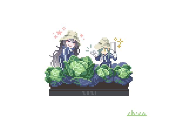 青江派キャベツ記念日🥬🥬✌️ 