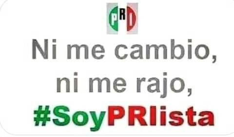 BurrolaOnesimo's tweet photo. Con Todo 💪🏼👊🏼 
 @PRI_Nacional, @alitomorenoc y @caroviggiano https://t.co/0SVLeC00Eh