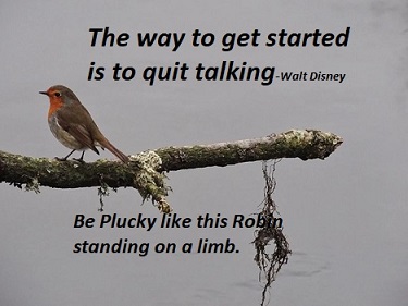 pydaily's tweet image. Be plucky, Be unafraid in the face of difficulties, tests and hardships. Hold on and struggle on undaunted. Be courageous. Be determined feisty, daring, fearless, and resolute .Just like this robin go out on a limb to achieve your goal