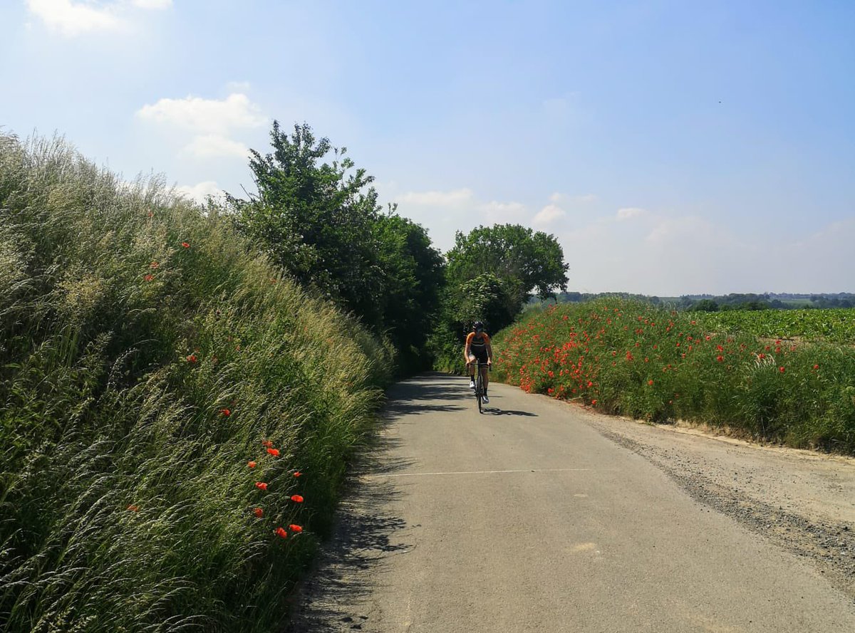 Klaprozen klaprozen en klaprozen. Man man man wat een klaprozen. Overal klaprozen.
