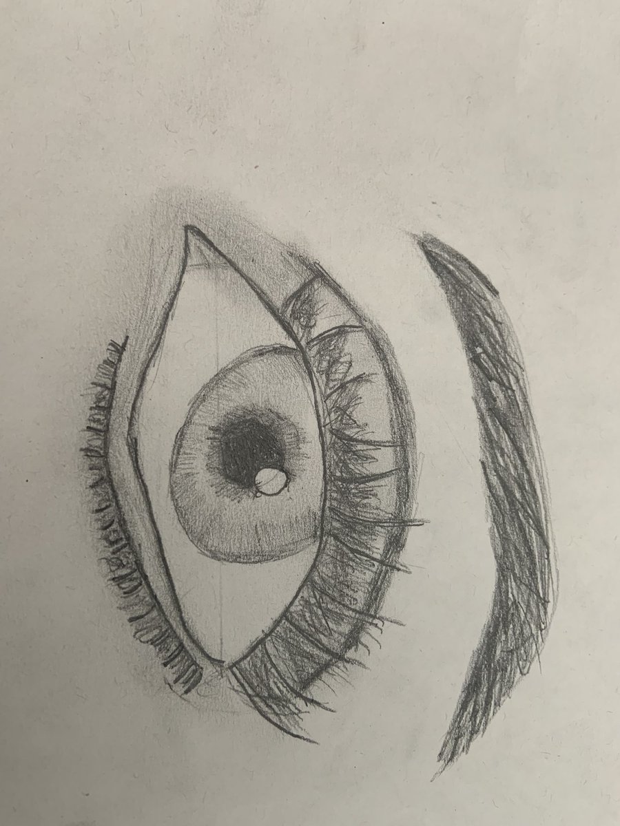 Bishopmill P5 MB tweet media