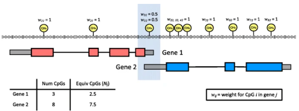 GOmeth and GOregion are gene set enrichment methods for DNA methylation data from <a href="/JovMaksimovic/">Jovana Maksimovic</a>, <a href="/AliciaOshlack/">Alicia Oshlack</a> &amp; <a href="/BelindaPhipson/">Belinda Phipson</a>. It takes into account the fact that CpGs on chips are unevenly distributed between genes, &amp;and some CpGs  linked to >1 gene genomebiology.biomedcentral.com/articles/10.11…