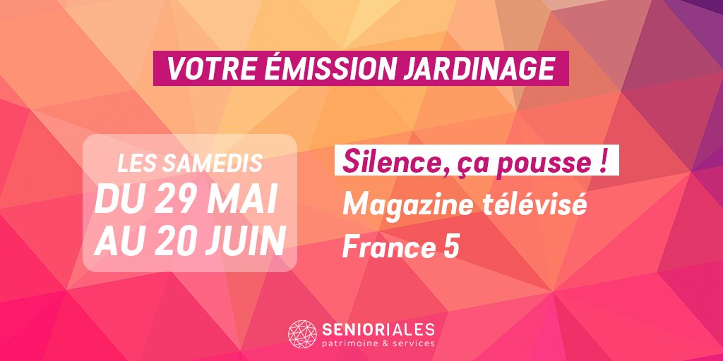 Senioriales tweet media