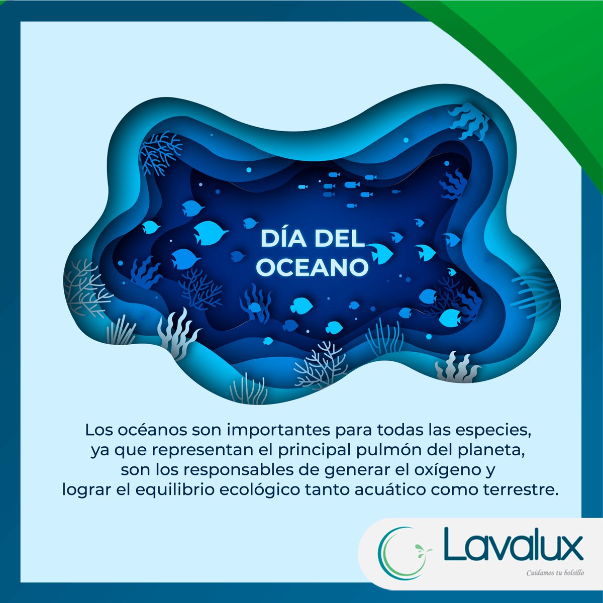 lavalux's tweet photo. #WorldOceansDay  #DiaMundialdelosOceanos  Debemos cuidarlo, sin duda nos da gran parte de oxígeno, comida, incluso nos maravilla con solo verlo https://t.co/ms0S5gzaOL