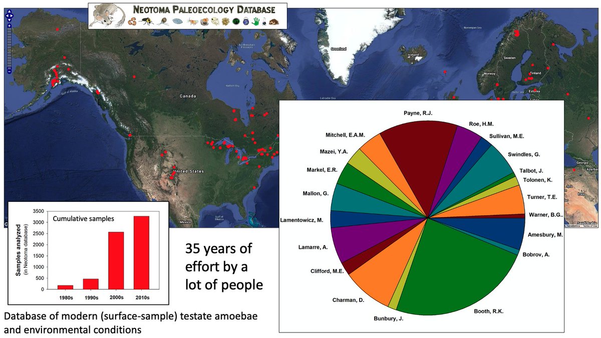 StatelyTrees's tweet photo. Slide I'm including in Thursday's @INQUA talk showing the current status of the @neotomadb testate amoeba surface-sample dataset. Lots more samples to add this summer, but this represents an impressive amount of work by a lot people. https://t.co/NXtcX6UJc7