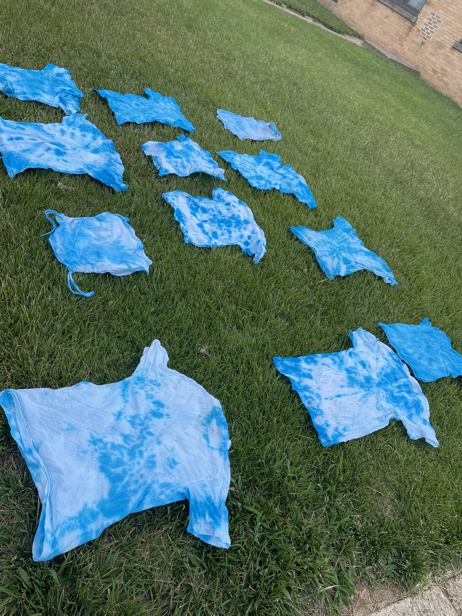 Ms. Burke's Class 🐬 tweet media