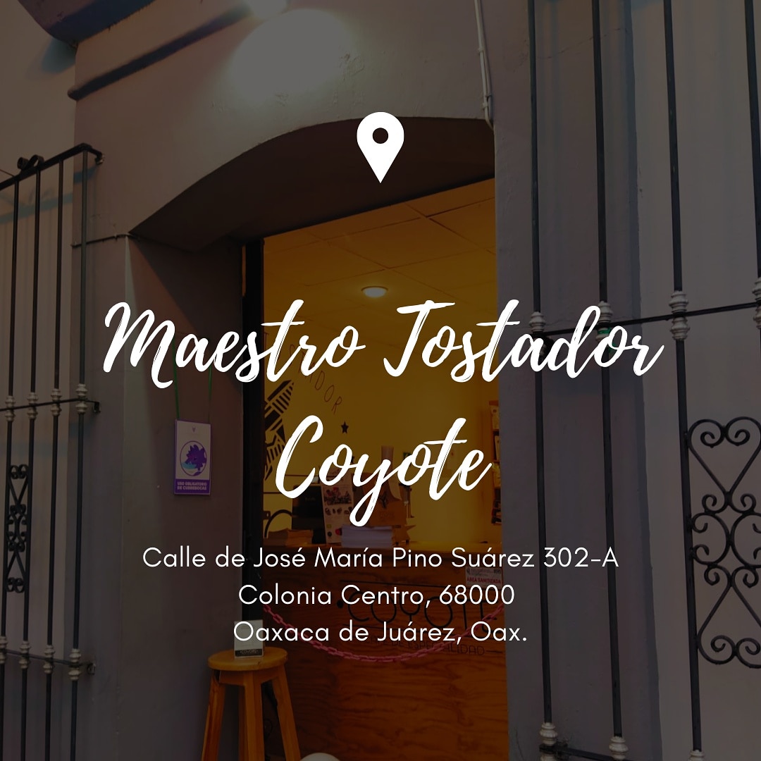 CoyoteMaestro's tweet photo. Conoces nuestra ubicación de la madriguera???

Nos encuentras en la calle José María Pino Suárez 302-A colonia centro...

Estamos bien ubicados entre #murguia  y #abasolo ... Y si mejor prefieres que te llevemos tu café no te preocupes, mándanos mensaje al 

9514088377 🛵 https://t.co/UZvzNuCaEW