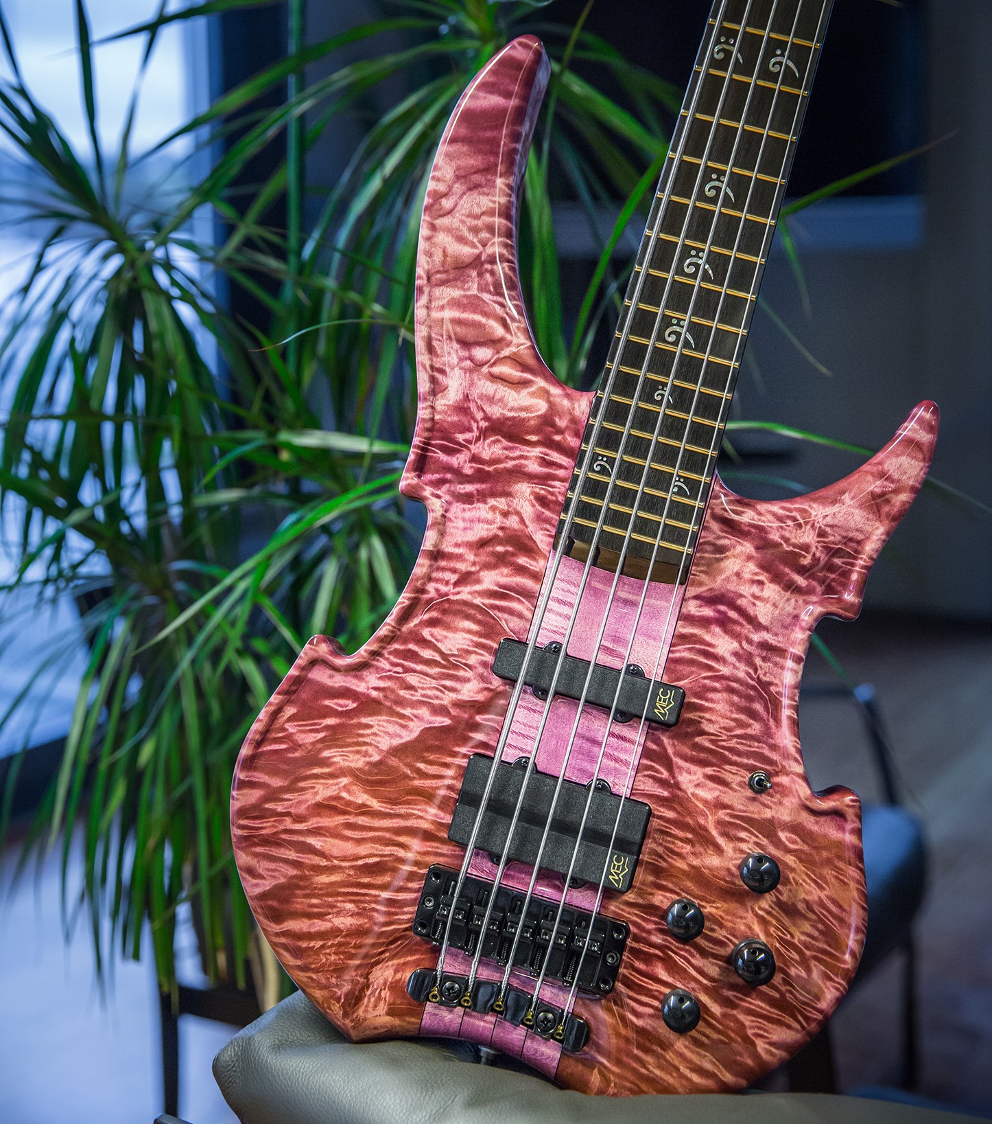 Warwick 2024 vampyre bass