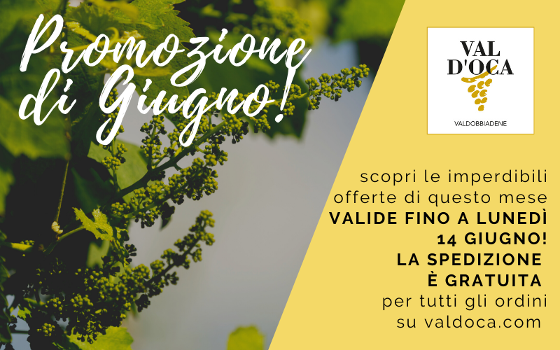 Scopri le offerte di Giugno! Sconti fino al 20% e spedizione GRATIS - mailchi.mp/valdoca/promo-… #valdobbiadene #prosecco #promo #valdobbiadenedocg