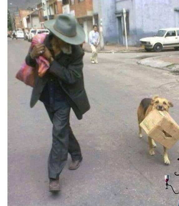 tonideltoro71's tweet image. SEAS RICO O POBRE
EL NUNCA TE ABANDONARÁ