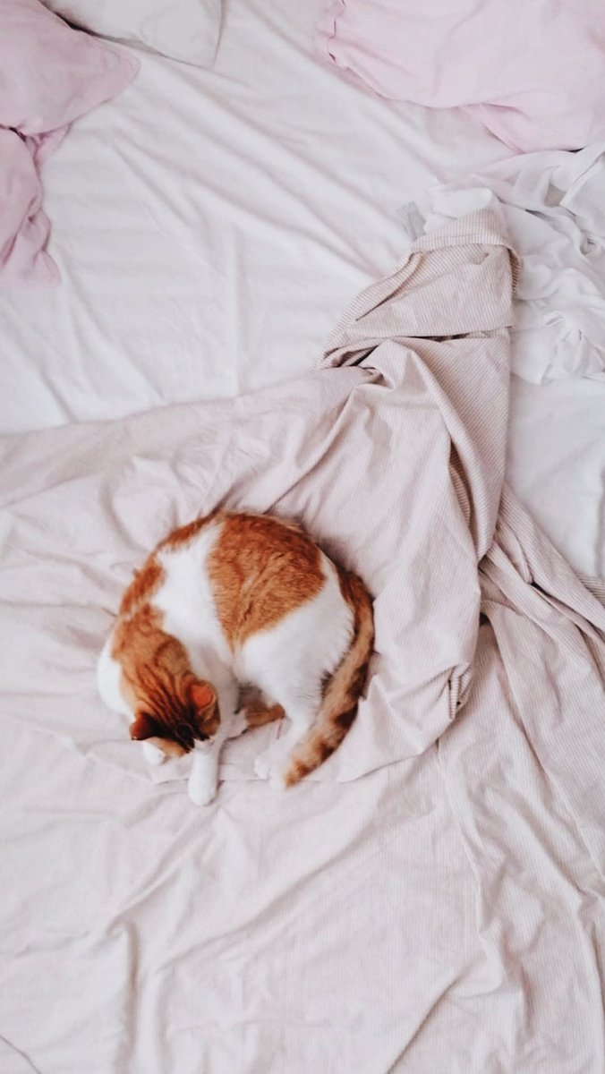 Carla Masip Gimeno (@carlamasip12) on Twitter photo 