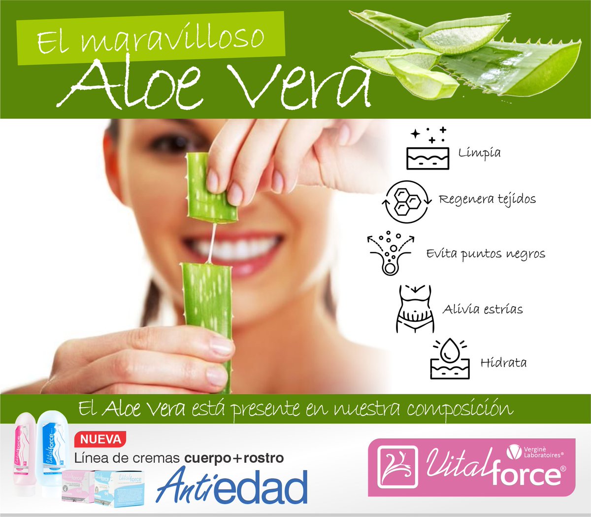 Vital Force (@VitalForceAR) / Posts / X