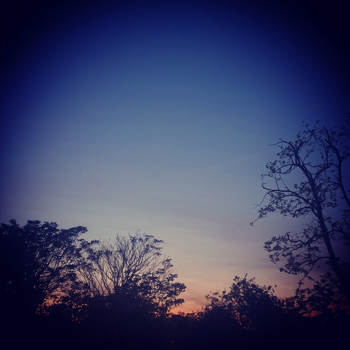 thecraeftcom's tweet photo. What a positively delightful couple of days... I've been super careful in lockdown and over the last couple of days I have got to spend some amazing time in the company of family and family friends ππππ #wiccalifestyle #witch #connecting #family #friends #social #socalising https://t.co/CRdlSrPDIu