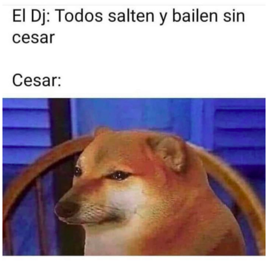 sopitas's tweet photo. #MemeDelDía https://t.co/2LuYK3mVUc