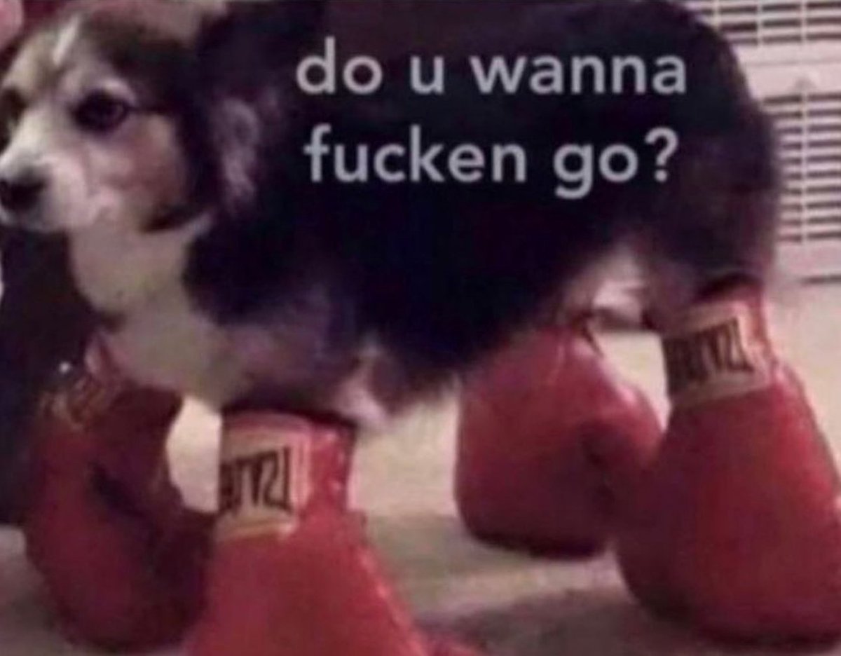 CauseWereGuys's tweet photo. My dog when he hears the doorbell ring https://t.co/aKhHsUbkoe