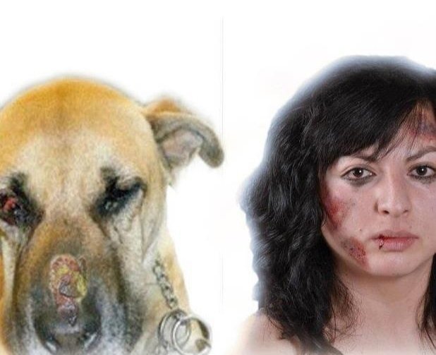 tonideltoro71's tweet image. NO ES LO MISMO?
TIENES RAZÓN.....
EL NO PUEDE PEDIR AYUDA
TU TIENES QUE SER SU VOZ
DENUNCIA ACTOS DE CRUELDAD,
MALTRATO, ABUSÓ Y ABANDONO
ANIMAL