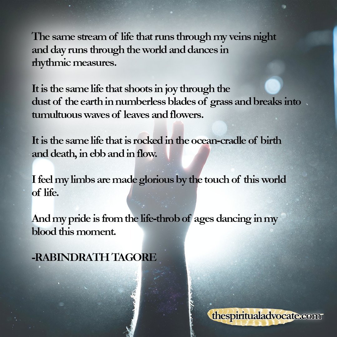 SpiritsAdvocate's tweet photo. #Life #Blood #World #Vitality 
•
•
•
#SpiritualAdvocacy #KarieTheSpiritualAdvocate #KeepGoing #FeelYourSoul #FeedYourSoul #ShapeReality #LearnToLove #YourStory #transform #growth #overcome #courage #knowledge #infinite #love #world #nature #friends #joy #beauty #happiness https://t.co/1SO6jHPKqT