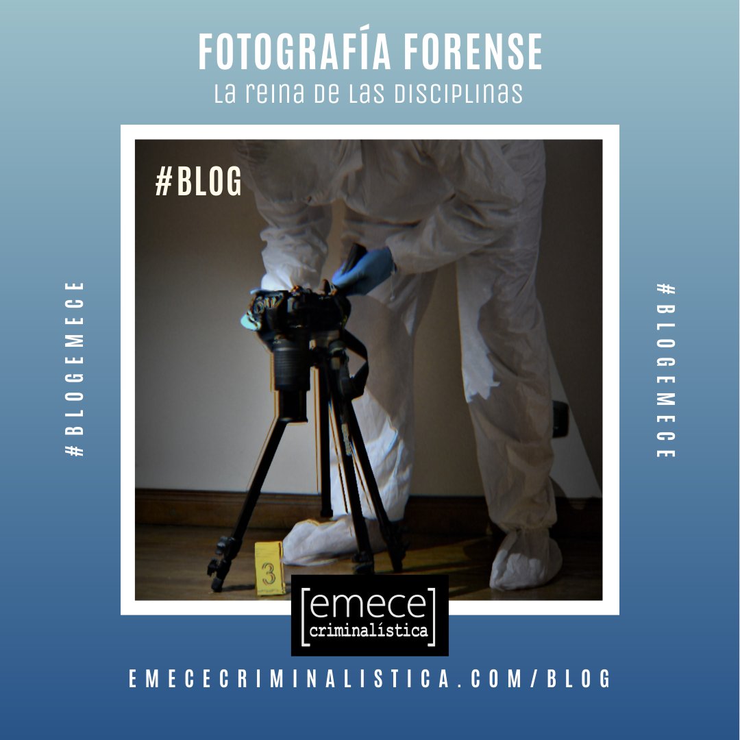 EmeceForenses's tweet photo. 🤔¿Por qué la Fotografía Forense es la reina de las disciplinas criminalísticas?
👉Lee el artículo completo y déjanos tu opinión en https://t.co/zvD1kkU90l https://t.co/1wi9m9rnRT