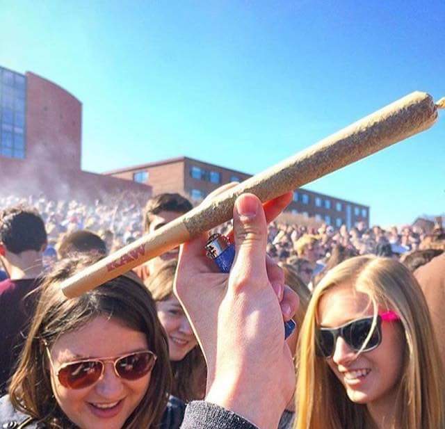 420's tweet image. maybe if colleges allowed weed on campus then less students would die from alcohol poisoning?