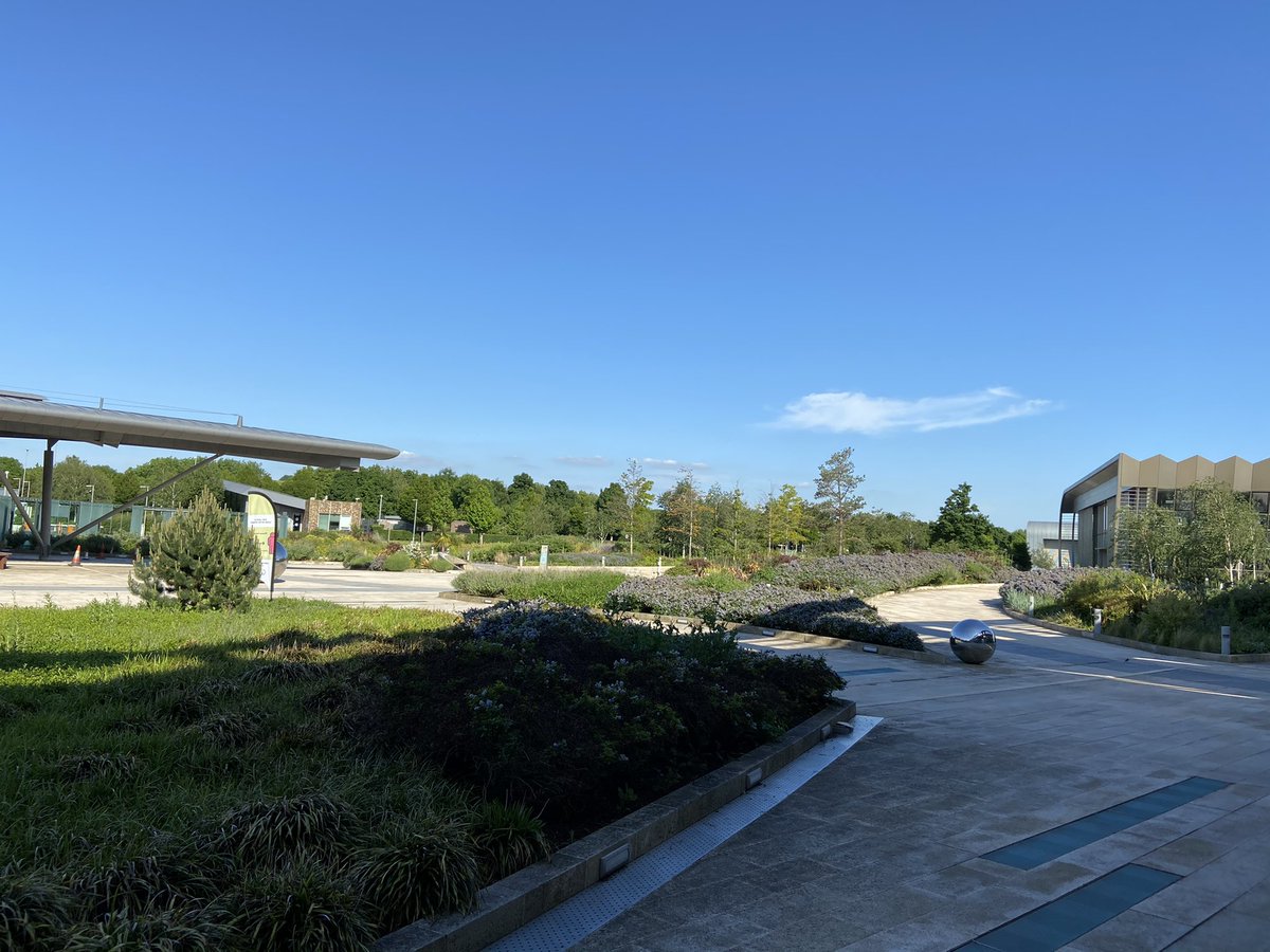 drbstewart's tweet photo. Fantastic to get on site @sangerinstitute today after more than a year of remote work.
Awesome to see my #cellulargenetics colleagues in 3 dimensions.
Really very exciting #kidney #omics #singlecell in the works π€©π¬ https://t.co/0RCPgjiQgX