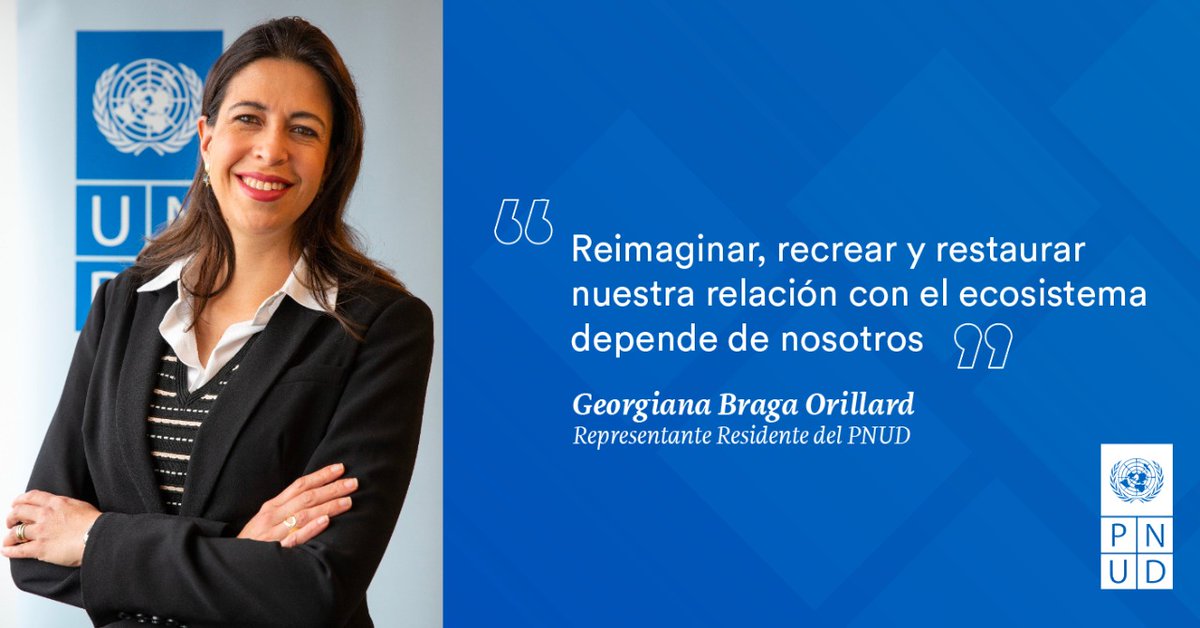 PNUDSV's tweet photo. Para el #PNUD los cambios en las normas y procesos sociales son fundamentales para lograr cambios concretos en nuestra relación con la #naturaleza. Columna de nuestra Representante Residente @GeBragaOrillard #GeneraciónRestauración #NetGenUNDP https://t.co/yGrV3xs4KH https://t.co/8wh89c1ja1