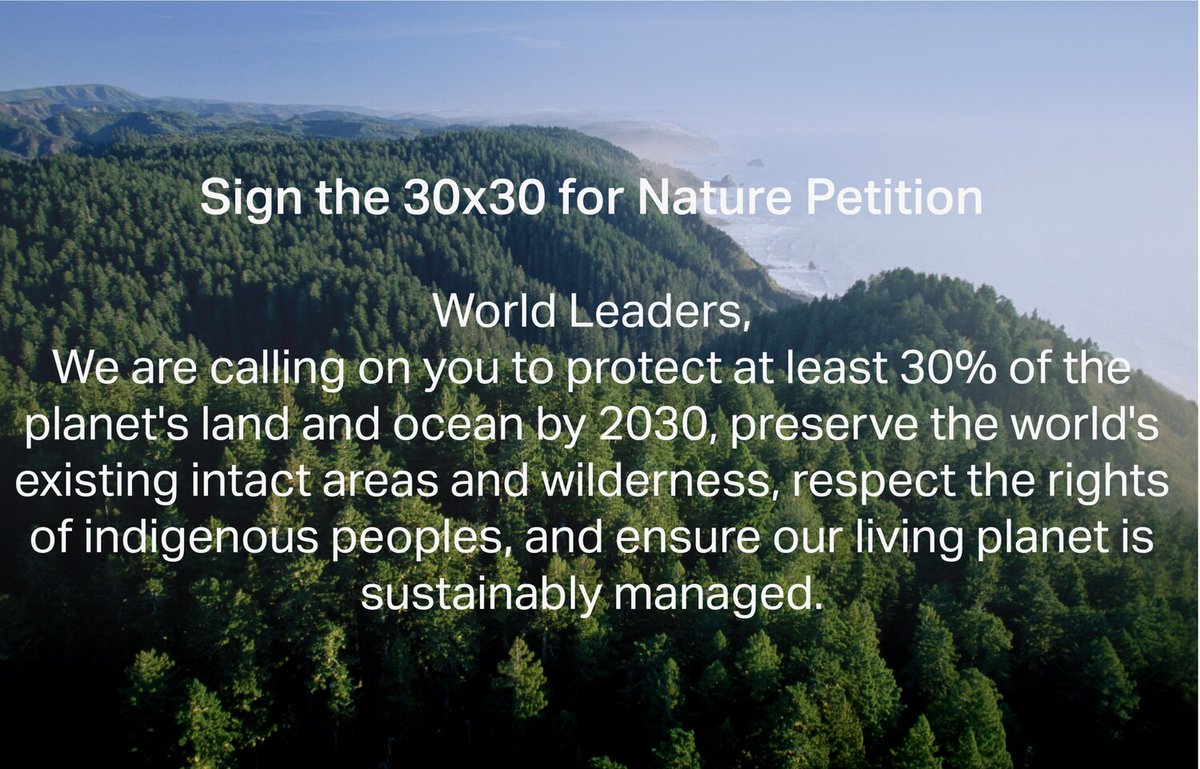 Stacey Mitchell tweet media