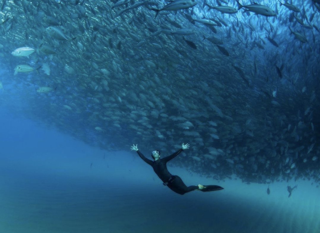 Culturalcomms's tweet image. #WorldOceanDay Let's pause and reflect on the importance of preserving and protecting the blue of our blue planet. We get 70% of our oxygen from the seas, so we think a day is the very least we can give to celebrating this vital part of our eco system. 📷 @hanliprinsloo