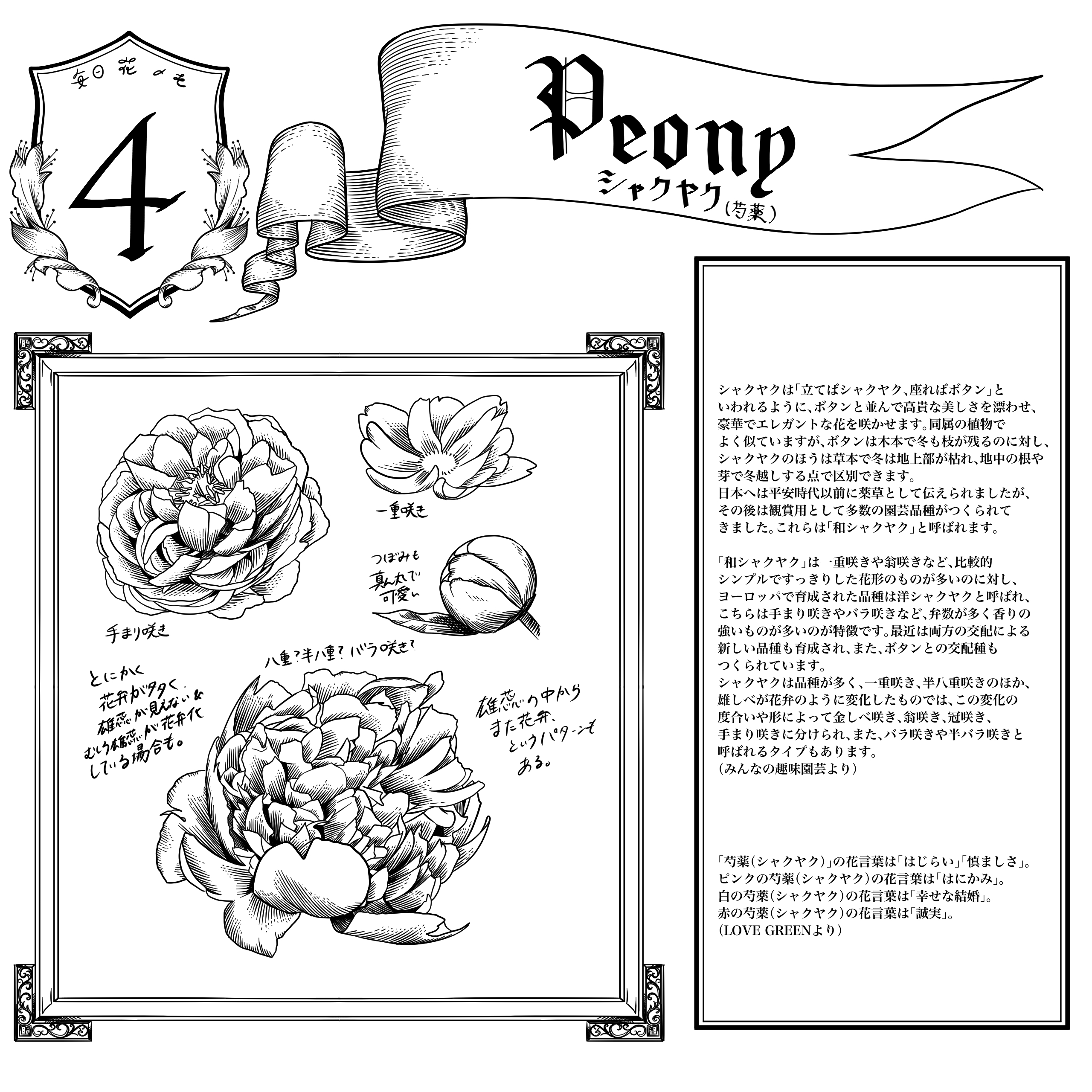 篠川ルイ Lui Sasagawa Twitter