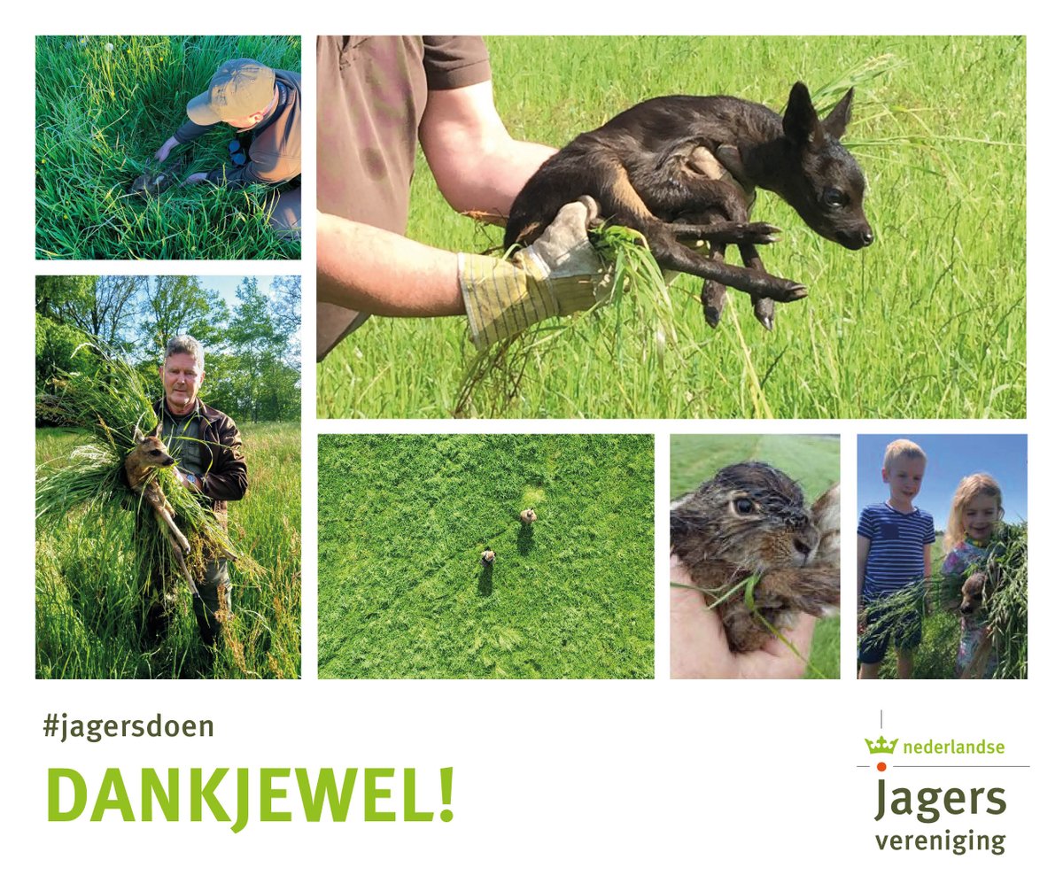 Jagers nemen verantwoordelijkheid voor wat er in hun veld leeft. 

Daarom trokken zij er vorige week ad hoc en in alle vroegte op uit om jonge dieren veilig te stellen voor het maaien.

Dank boeren voor het samenwerken &amp; dank jagers voor jullie inzet!

#jagersdoen
#jagersdoenmeer