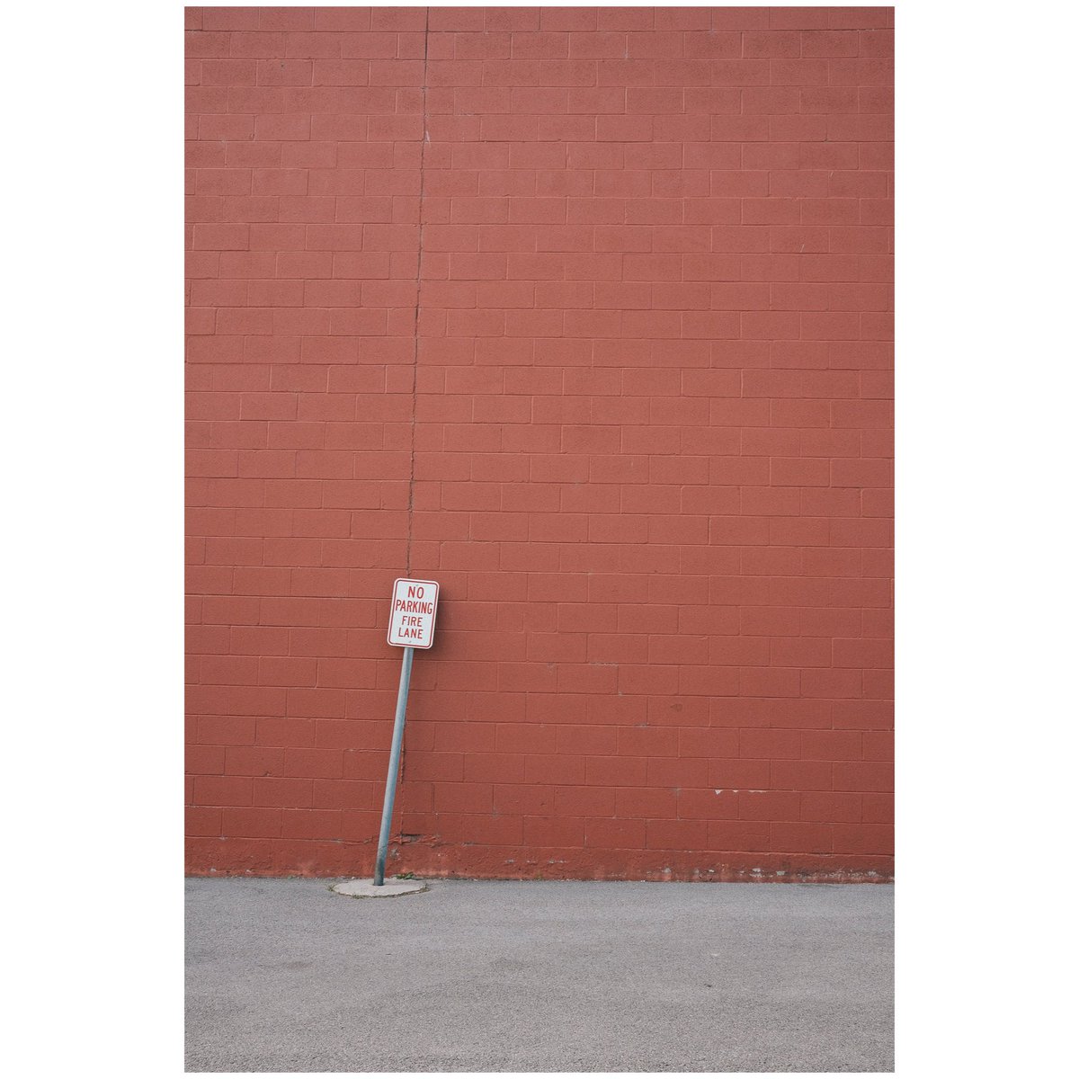 chris stein tweet media