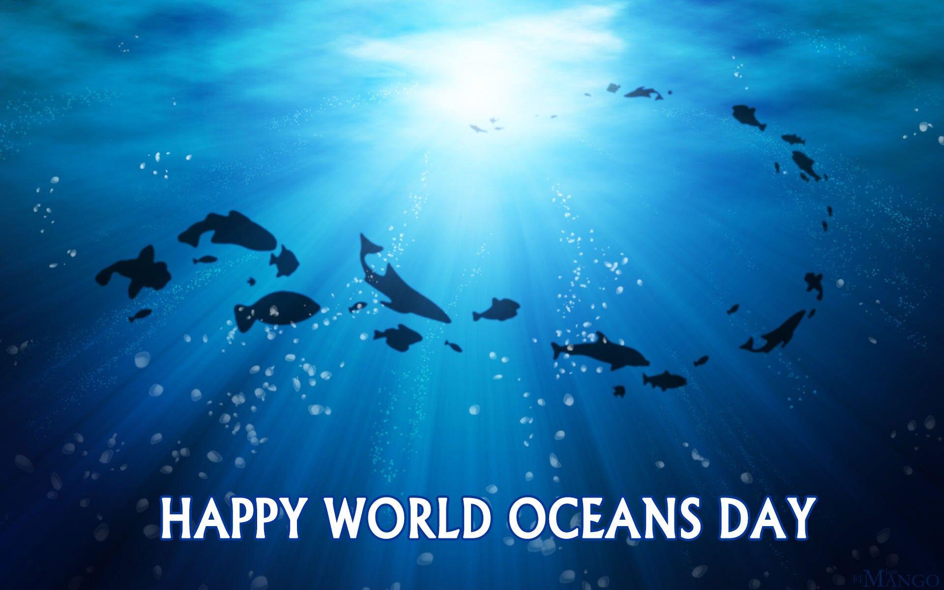 U S Teamer Program Happy World Oceans Day While Everyday Is World Oceans Day In Our World We Commit To Learning More About The Impacts We Re Having On The Ocean And