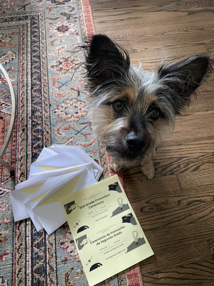 Powell2ndGrade's tweet photo. Olivia is ready to send out invitations to our 2nd grade promotion ceremony! Join us on June 23 at 9:30 as we send this group of kiddos to 3rd grade! https://t.co/1Ax27vTf66
