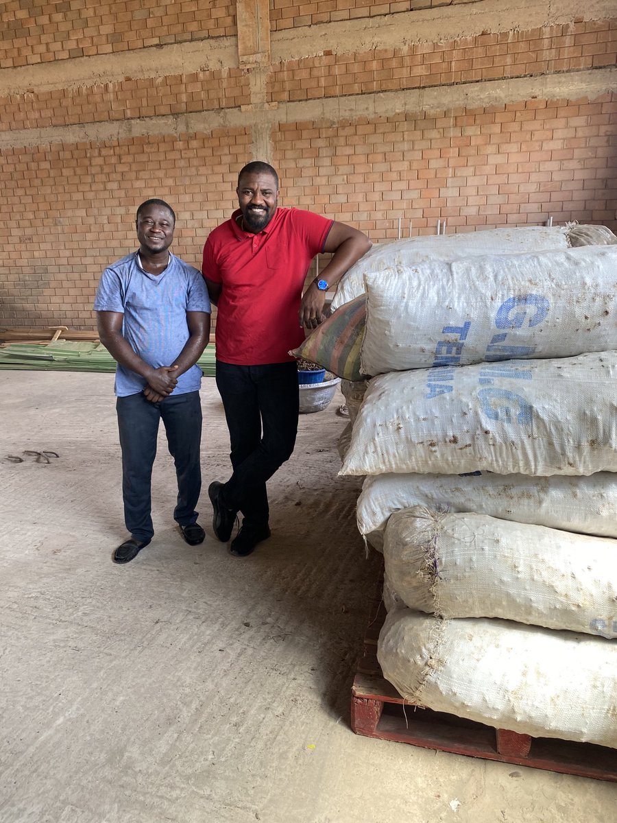 johndumelo's tweet photo. Ginger from the farm straight to the client. One day, very soon, agriculture will be back to be the back bone of Ghana’s economy. 🙏🏿 https://t.co/ELnGvt1sUF