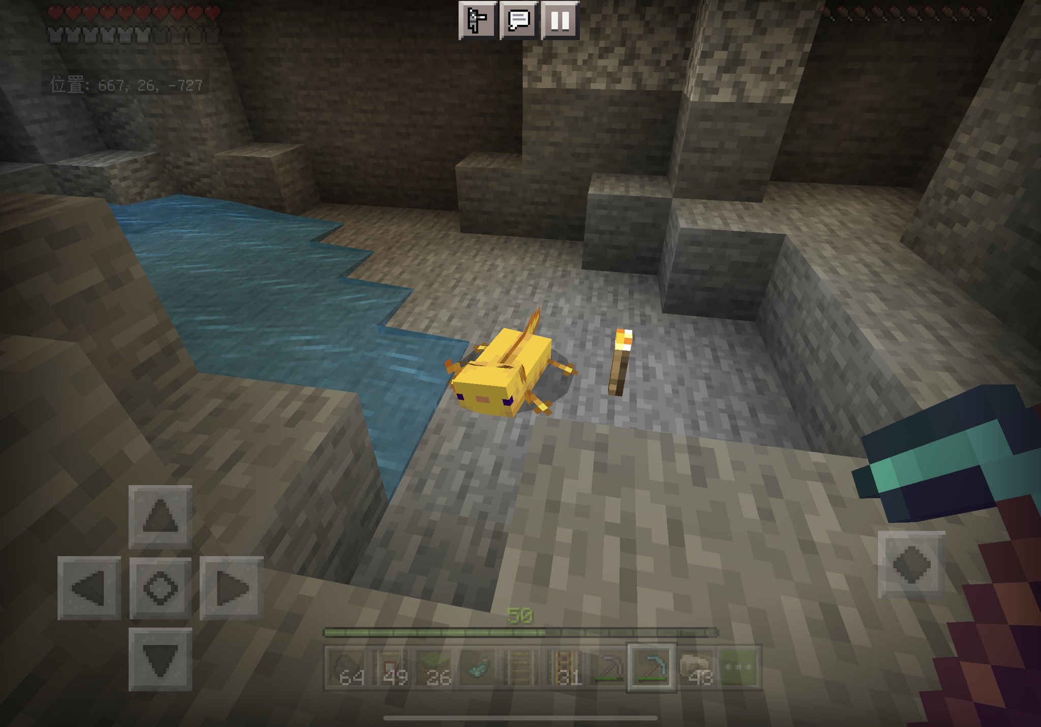 画像 マイクラアプデきたー ウーパールーパーも早速会えた 鉄が幸運で増えるようになったのが地味に1番嬉しいかも笑 マイクラ T Co 3f4gz6np まとめダネ