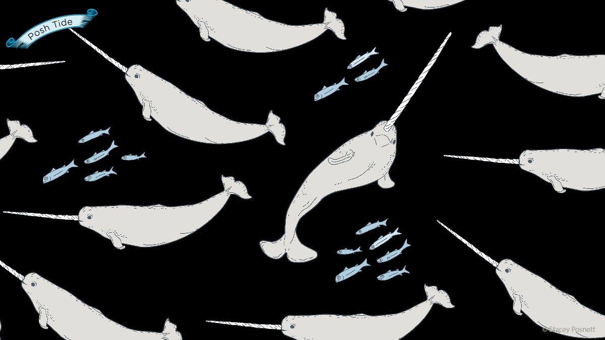 StaceyPosnett's tweet photo. #narwhal #unicornofthesea #worldoceanday #worldoceanday2021 #poshtide https://t.co/Yby4pmP6Xd